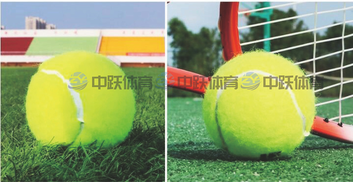ZYJ-多功能训练网球03.jpg