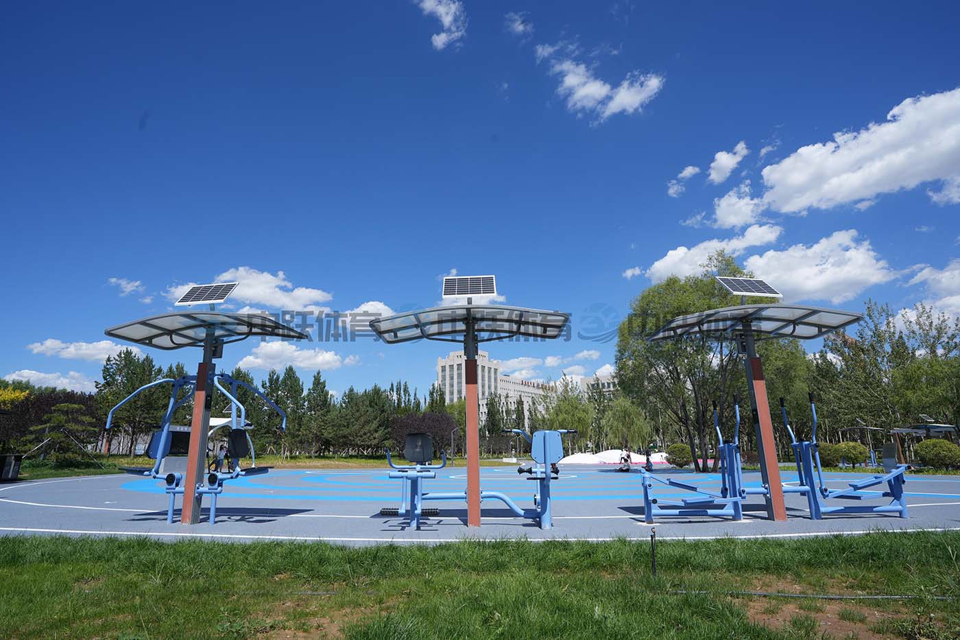 ZY-ZH-ED001  二代健身器材 (6).JPG