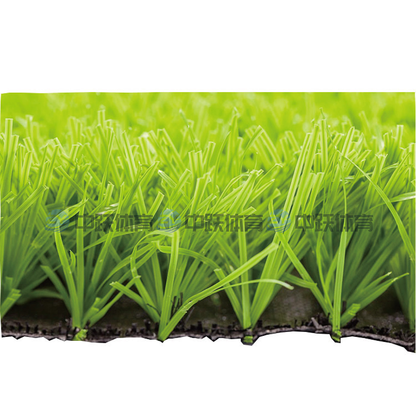 人造草ZYRZC-01(2).jpg