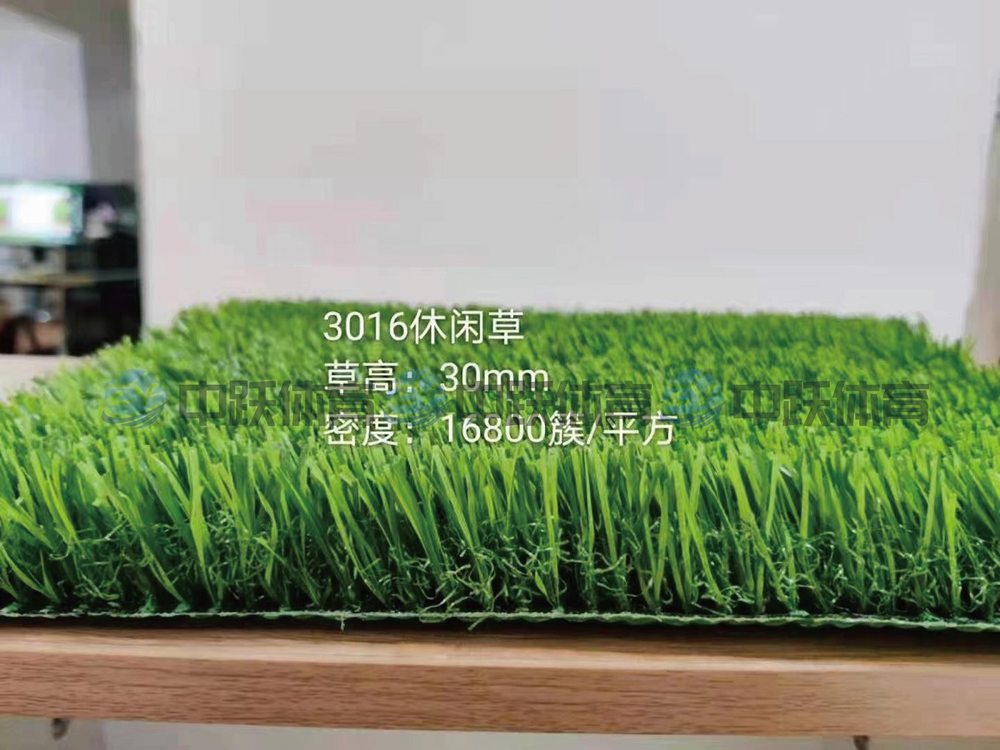 休闲草ZYRZC-02 (2).jpg