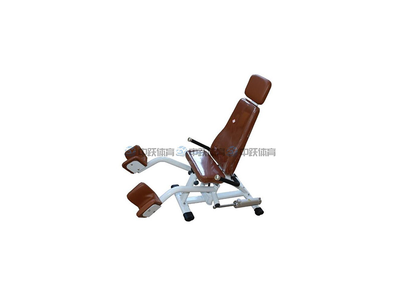 ZY-KF009 摆腿训练器