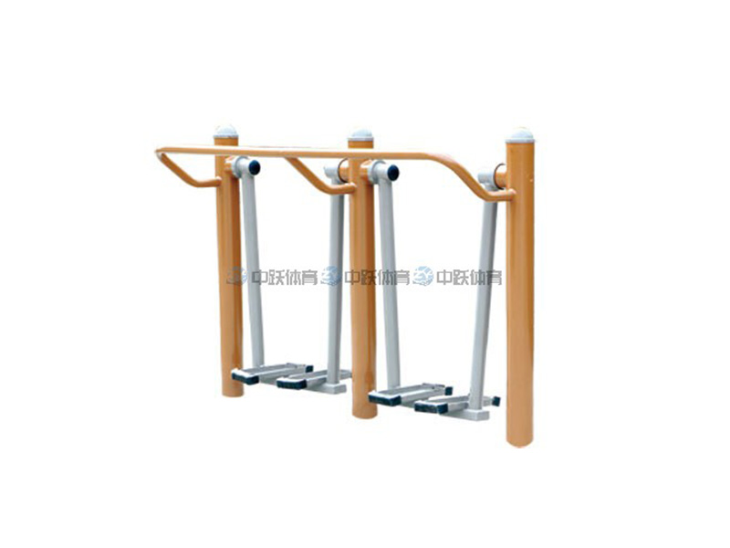 ZYXGN-1006 双位漫步机