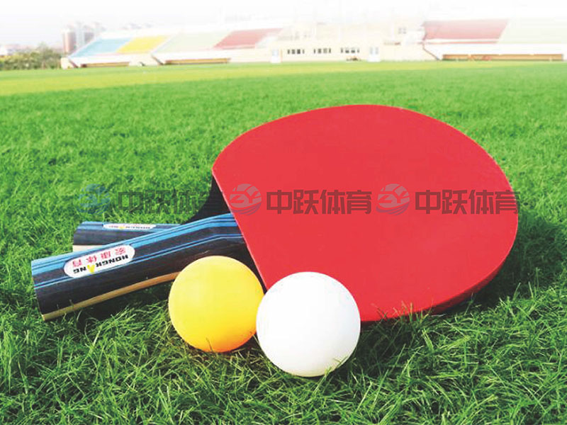 ZYJ-乒乓球拍