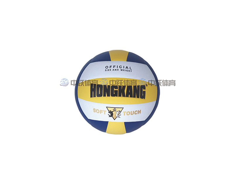 ZY-PK1004比赛排球