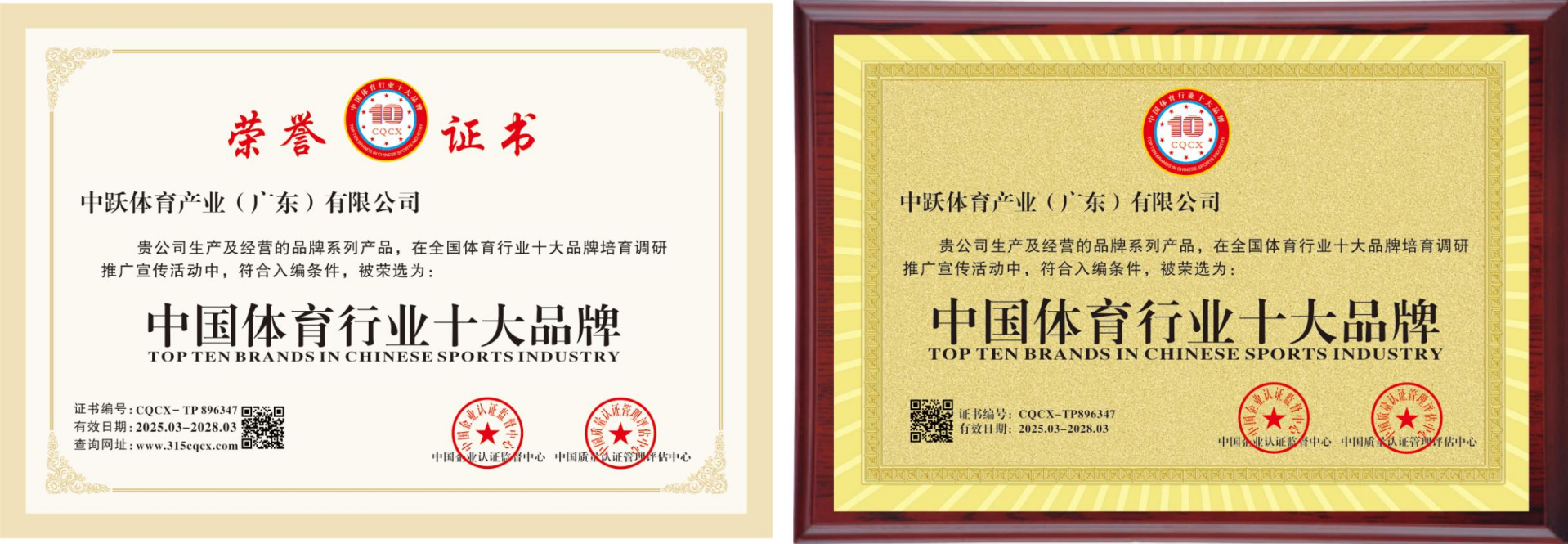 《中国体育行业十大品牌》